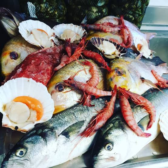 Pescato del giorno della Trattoria sul Mare BOEO